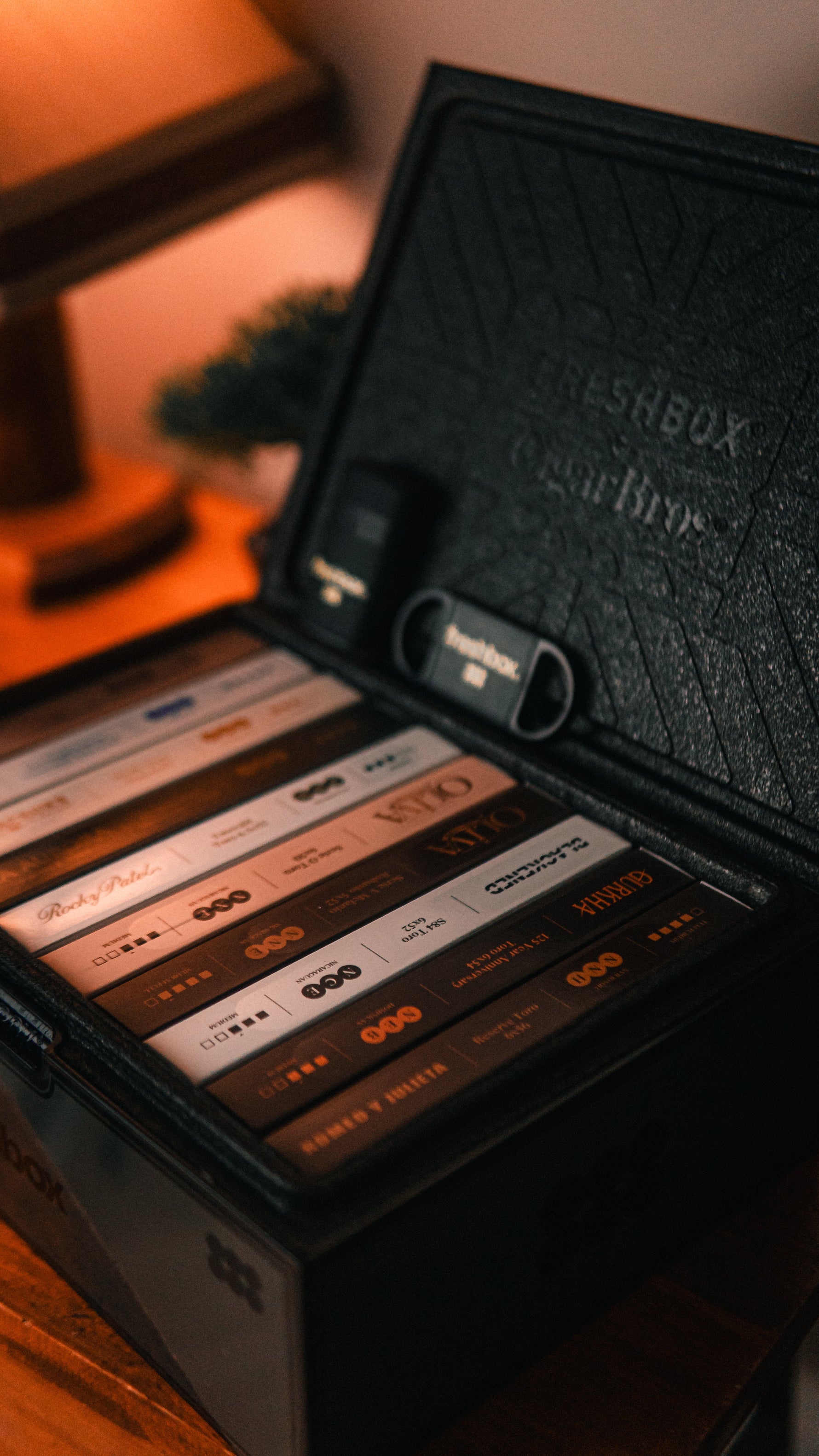 Best Cigar Brands: A Complete Guide by Flavor & Style