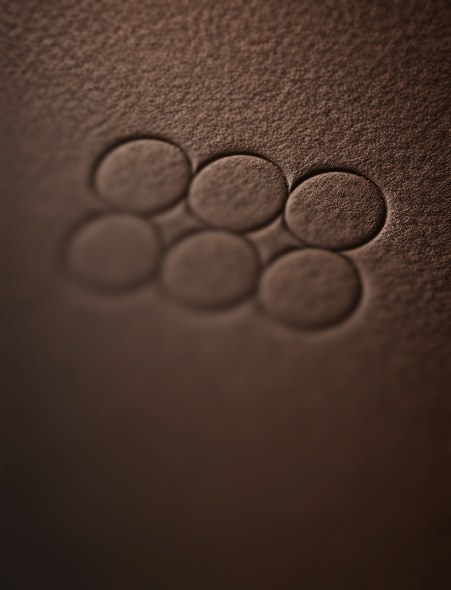Close-up of circular patterns on a textured brown surface