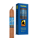 ACID Blondie 4x38 FreshBox | 3-Pack